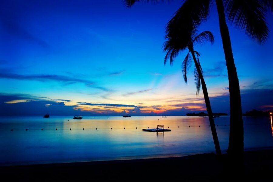 Negril 7-Hour Tour from Montego Bay - Getting From Montego Bay to Negril: The Road Trip Part of the Fun