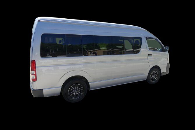 Negril Beach Beach Ricks Cafe and Sunset Tour - How this tour fits different travel styles