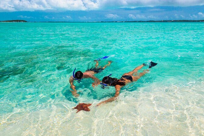 Negril Seven Miles Beach, Snorkeling, Boat Ride, Ricks Cafe Combo - Key Things You Should Know Before You Go