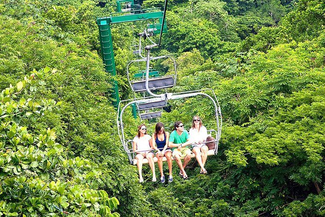 Ocho Rios Day Tour 3 in 1 Combo - Price and value: what $220 per person really covers