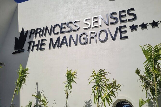Princess Senses The Mangrove Airport Transfers - How Long the Montego Bay Airport Transfer Takes (and Why the Range Matters)