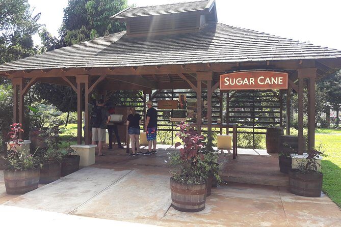 Private Appleton Estate Rum and Pelican Bar Tour from Montego Bay - Joy Spence Appleton Estate: From Sugar Cane to Rum in 2 Guided Hours