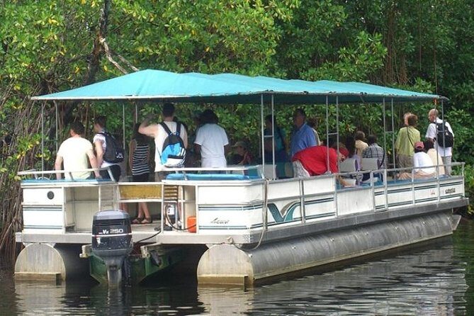 Private Black River Safari Tour from Montego Bay - Key Things That Make This Private Black River Safari Worth It