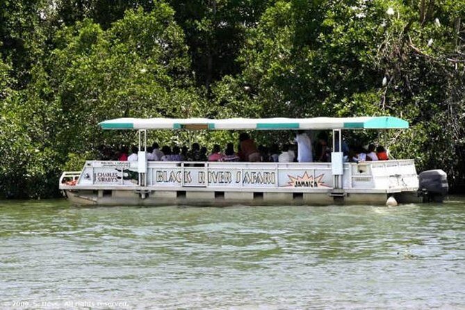 Private Black River Safari Tour from Montego Bay - Why the Black River Boat Ride Feels Like a Real Escape