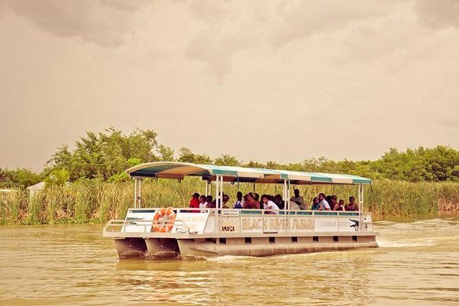 Private Black River Safari Tour from Montego Bay - What Happens on the Boat: The 1-Hour Guided Wildlife Ride
