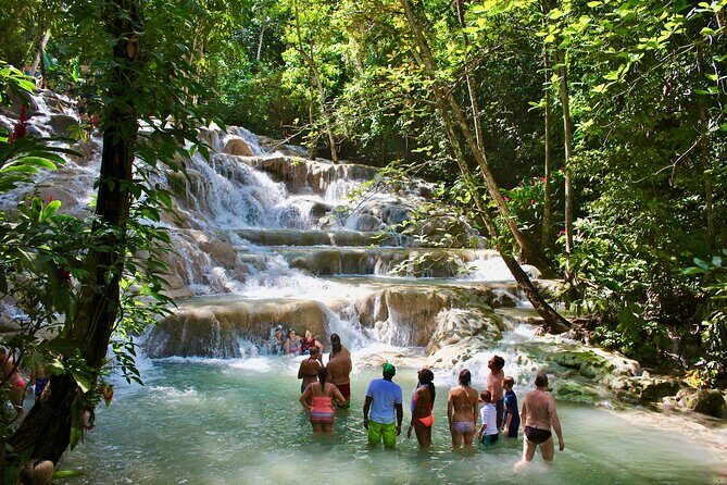 Private Dunn's River Falls Adventure from Montego Bay - Key highlights worth caring about