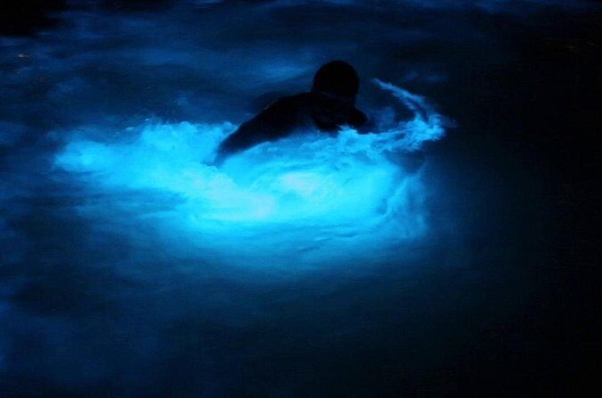 Private Guided Night Tour of Luminous Lagoon in Montego Bay - What happens after the boat ride: limbo and a Jamaican beach party