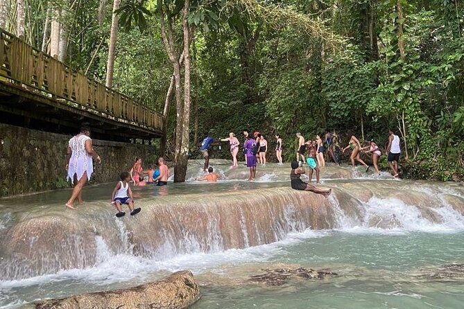 Private Horseback Riding, Swimming and Dunn's River Falls Tour - Price and logistics: what you’re really paying for at $240 per person