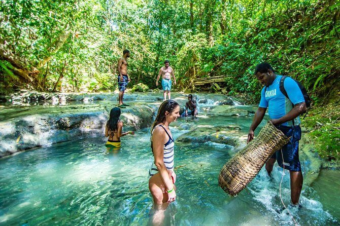 Private Mayfield Falls Waterfalls Tour [ Transportation ] - Key Things That Make This Tour Worth Considering