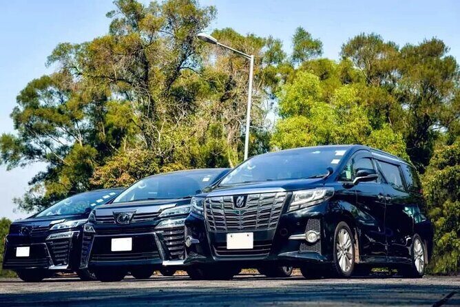 Private Montego Bay Airport Transfer (Select Hotel Option) - Key Points That Make This Transfer Worth It