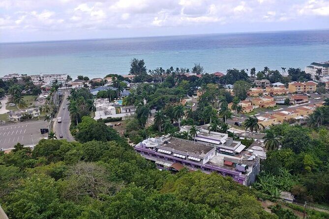[PRIVATE] Montego Bay Highlights Tour - Key Highlights Worth Knowing