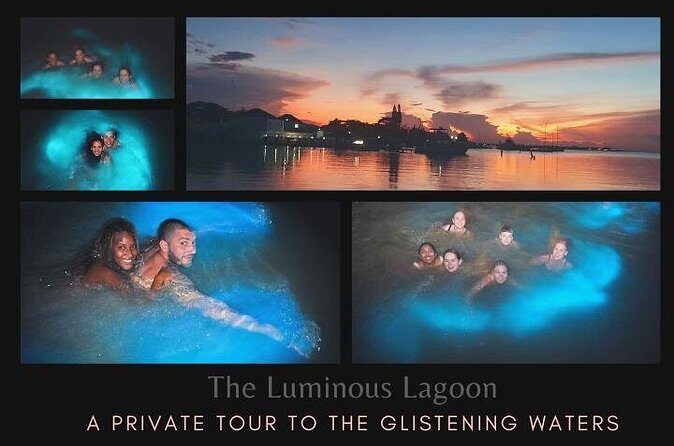 Private Tour in the Glistening Waters from Montego Bay - The lagoon moment: watching bioluminescence intensify