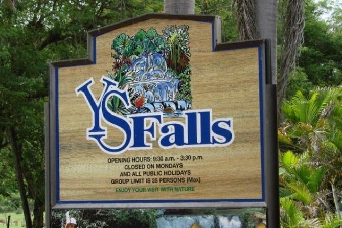 Private YS Falls Tour from Montego Bay - YS Falls & Park: swimming spots, rope swings, and guide help