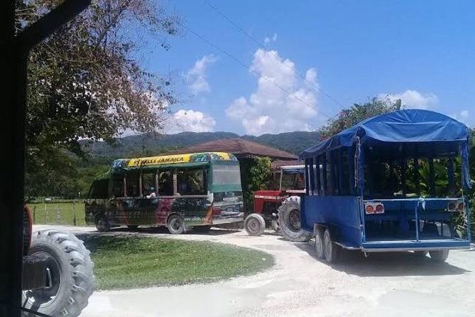 Private YS Falls Tour from Montego Bay - How the guide makes the waterfall time better (not just louder)