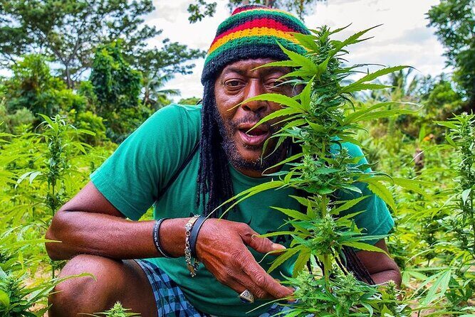 Rastafari Cultural ATV Community Experience from Montego Bay - Price and what you actually get for $164.59
