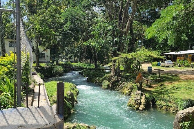 Rastasafari Experience ATV Adventure and Local Day Out - From Montego Bay pickup to your first warm welcome