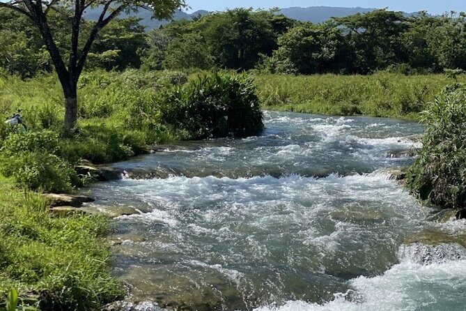 Rastasafari Experience ATV Adventure and Local Day Out - Swimming in natural mineral pools: the highlight stop (and the reality check)