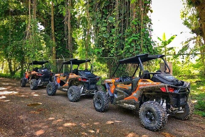 Rastasafari Experience ATV Adventure and Local Day Out - The all-terrain buggy ride: timing, rhythm, and what to expect