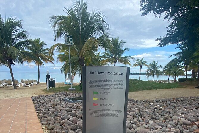 Riu Negril / Riu Palace Tropical Bay Private Airport Transfer - The 90-Minute Ride: Comfort, Timing, and Flight Tracking