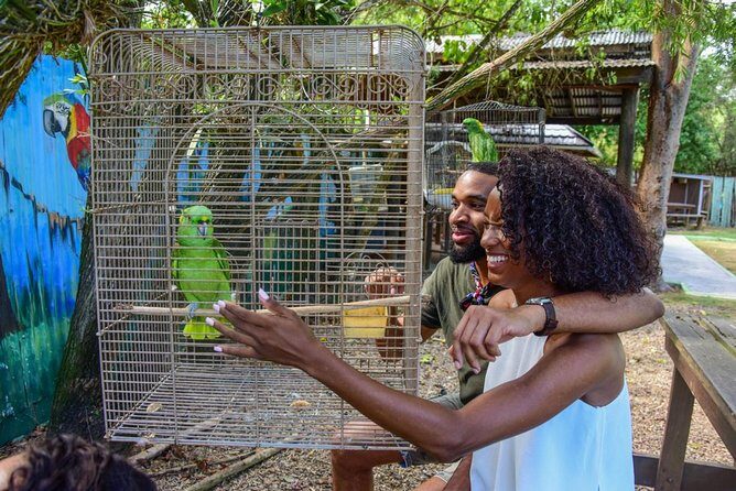 Rockland Bird Sanctuary plus Montego Bay Highlights & Shopping Private Tour - Key things to know before you go