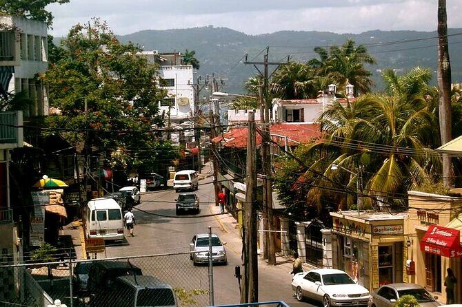 Rockland Bird Sanctuary plus Montego Bay Highlights & Shopping Private Tour - Weather, comfort, and when you’ll feel the cool mountain air