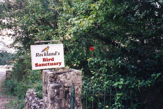 Rockland Bird Sanctuary Private Tour - Rocklands Bird Sanctuary: where the birds come to you