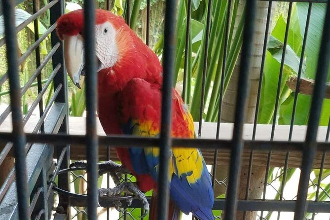 Rockland Bird Sanctuary Private Tour - The private tour angle: why the guides make the difference