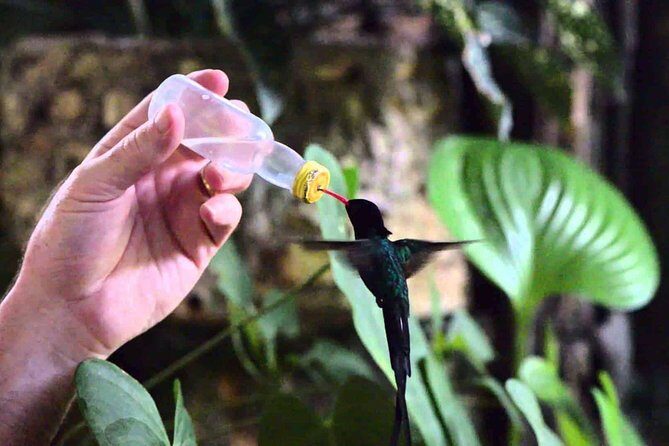 Rockland Bird Sanctuary Private Tour - Price and value: what $97.44 buys you