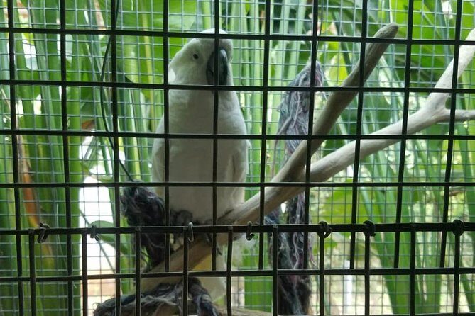 Rockland Bird Sanctuary Private Tour - Is this tour for you? Best matches and small cautions