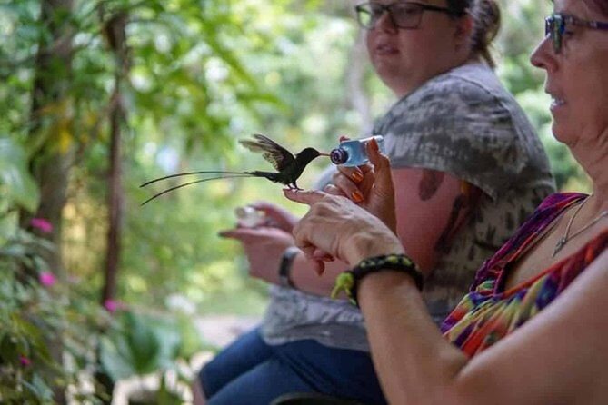Rockland Bird Sanctuary Private Tour - Hand-feeding tactics: sugar water, finger landings, and seed tricks