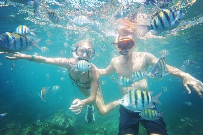 Snorkeling and Shopping in Montego Bay with Hotel pickup - A 1.5-Hour Plan That Works With Real Montego Bay Timing