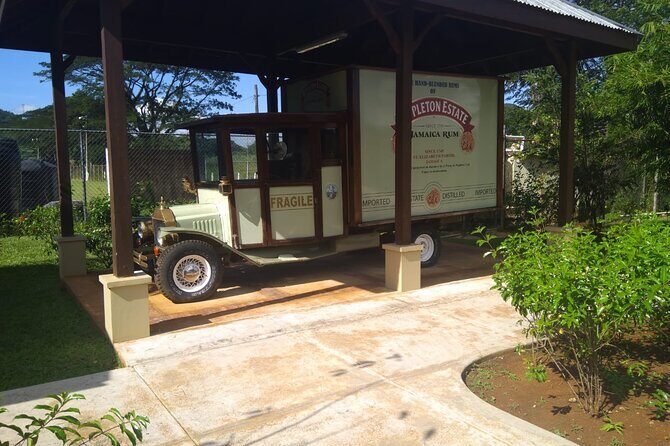 South Coast Cultural Tour History and Nature - Stop 3: Black River Safari Wildlife Cruise for Crocodiles and Birds
