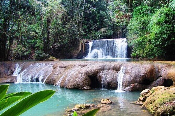South Coast Cultural Tour History and Nature - Price and Value for a $360 Montego Bay Full-Day