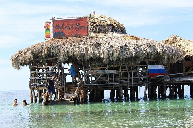 YS Falls, Black River Safari, and Floyd's Pelican Bar Day-Trip (Transportation) - Key highlights at a glance
