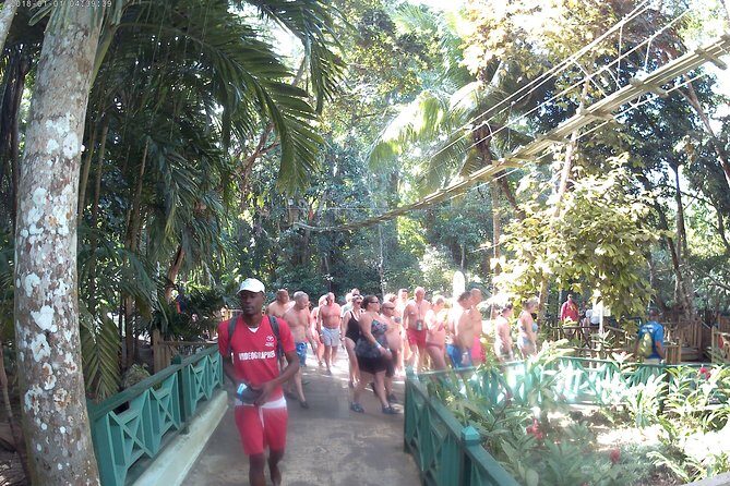 Zip Line over the Dunns River Falls - Key things to know before you go